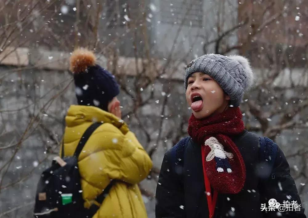 北京迎初雪9只熊猫,北京喜迎初雪去北京动物园看熊猫