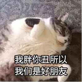 猫的本质是液体，不信看这里，萌化你