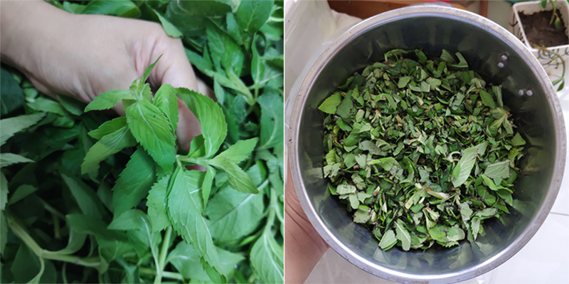 自制薄荷膏蜂蜡能用凡士林代替吗,薄荷膏制作方法用酒精泡的