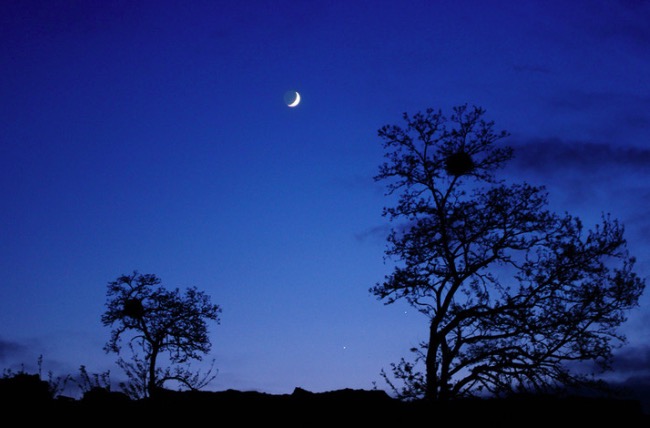 10句李白关于月的诗,李白的关于月亮诗最好的十首