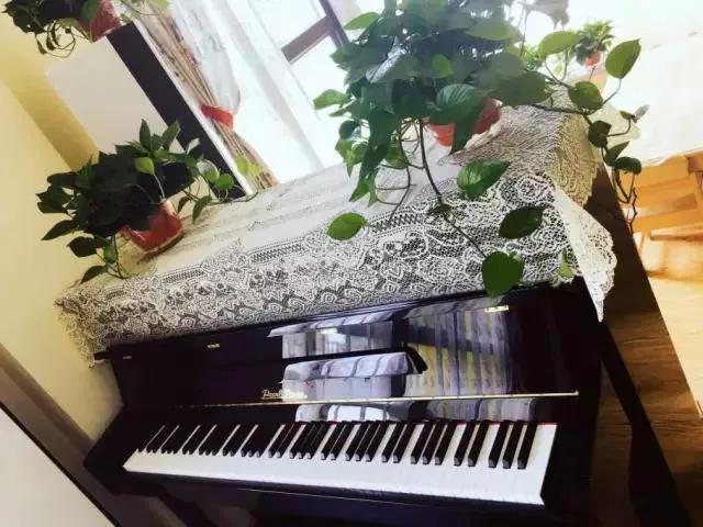 郑州朗信幼儿园和艾瑞德,欧吉瑞幼儿园郑州