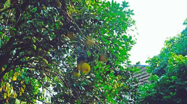 古寨、夕阳、界碑、待嫁的壮族姑娘，广西，原来这么美