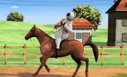 深圳海边骑马地点推荐,深圳骑马最佳地点