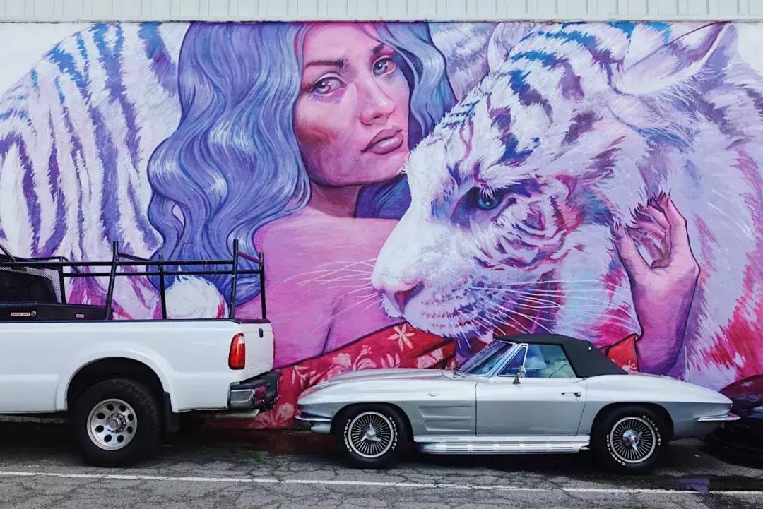 在吸引村上春树买房养老的海岛呆3天，马代帕劳在我心里降到第二