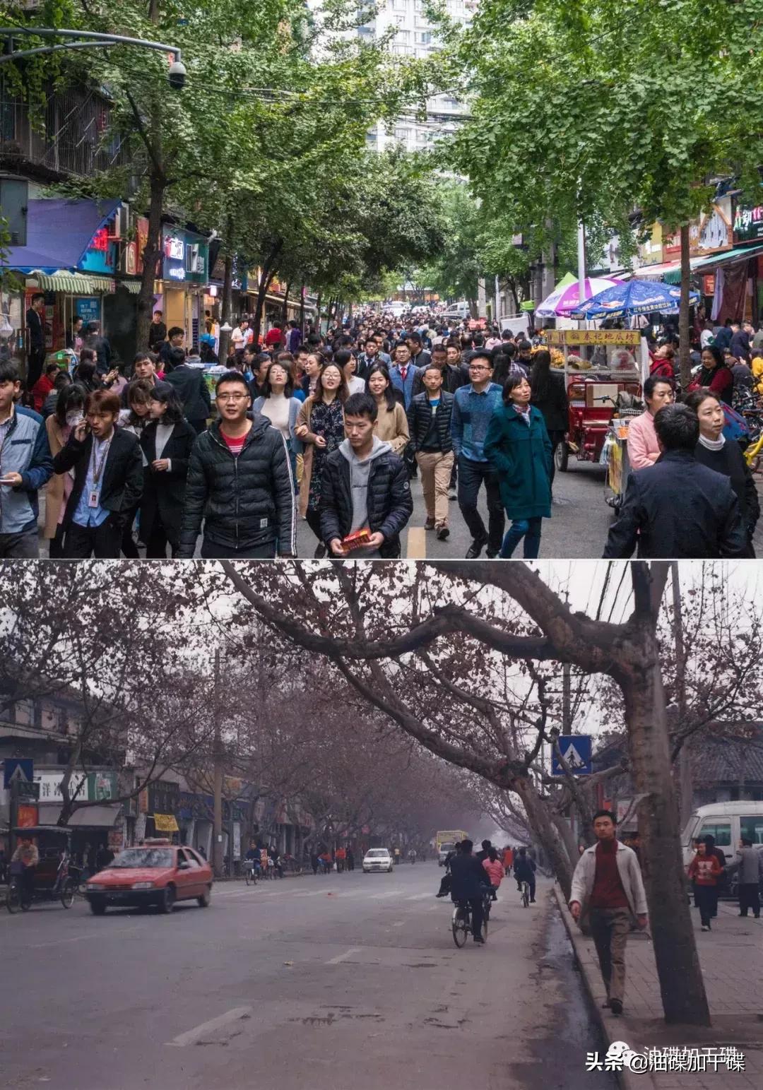 ‘老字号凤祥楼’和‘思聪老公同款迪厅’，你选哪个？