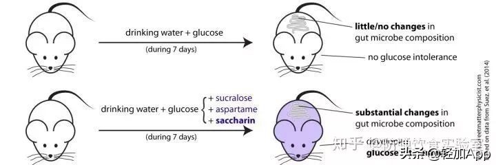 代糖到底能不能吃,代糖孕妇可以吃吗