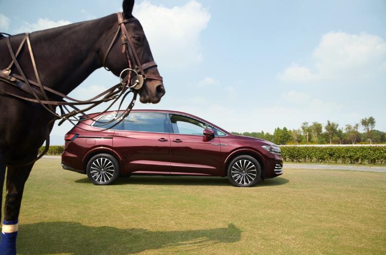 威然和大v,大v威然