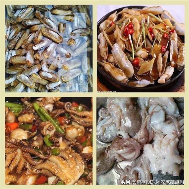 去赶海抓螃蟹海边淋雨捡贝壳,来海边抓螃蟹拾贝壳