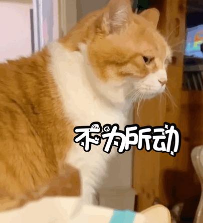 非农数据解读,一本不正经的分析