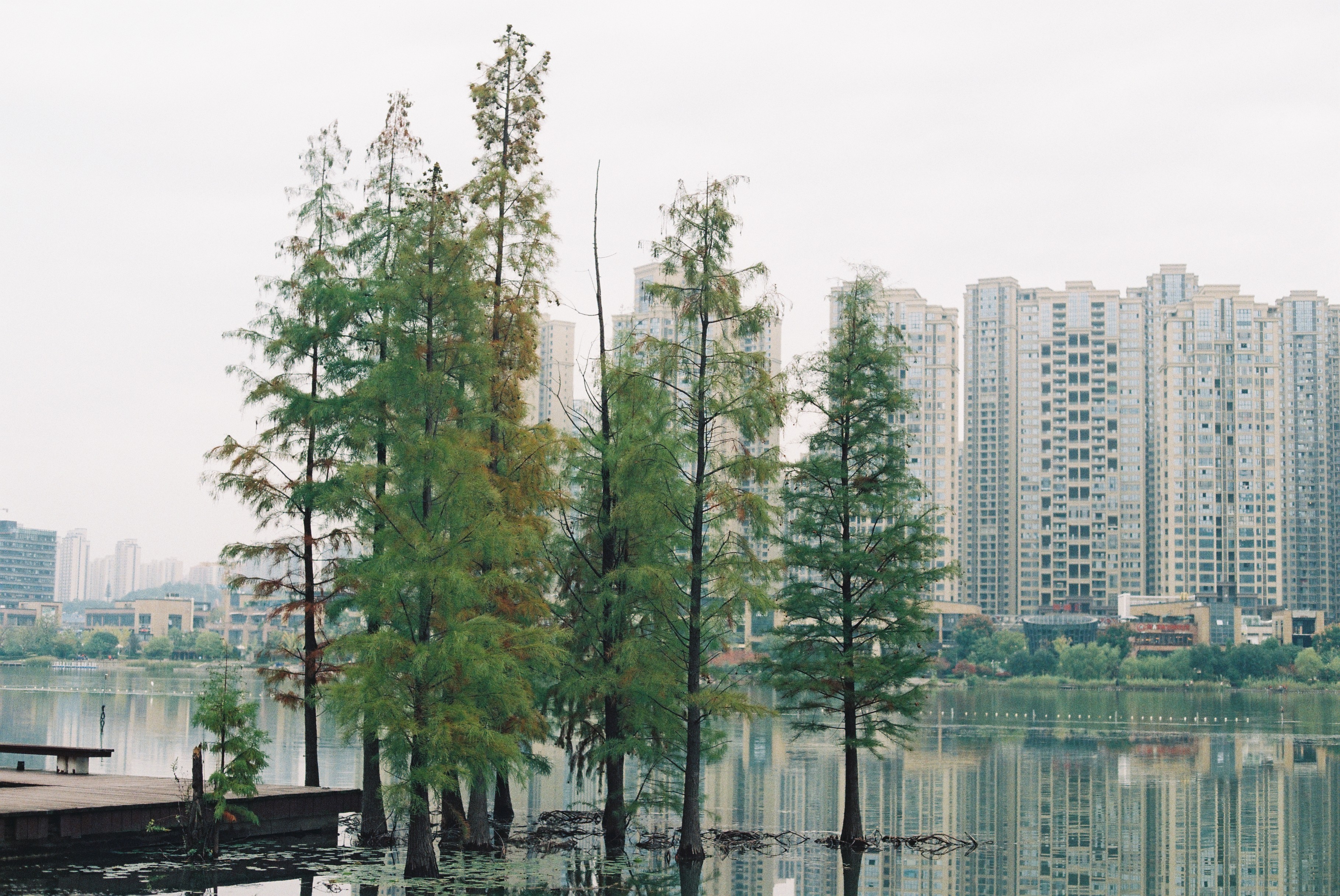 第一次拍了胶片怎么冲洗,坚持胶片拍摄的感受