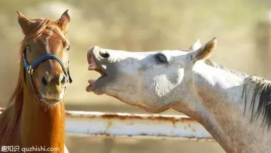 几个冷知识,这十个冷知识你知道几个呢