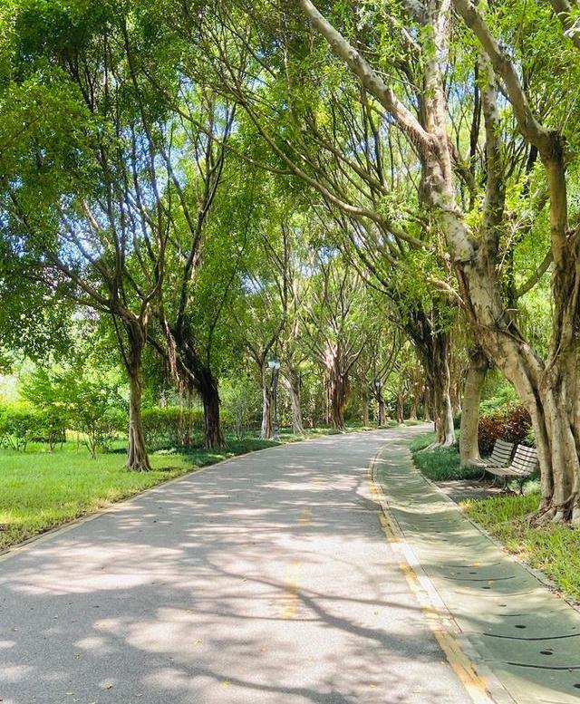 深圳宝安区跑步路线推荐,深圳大学城附近游泳和跑步的地方
