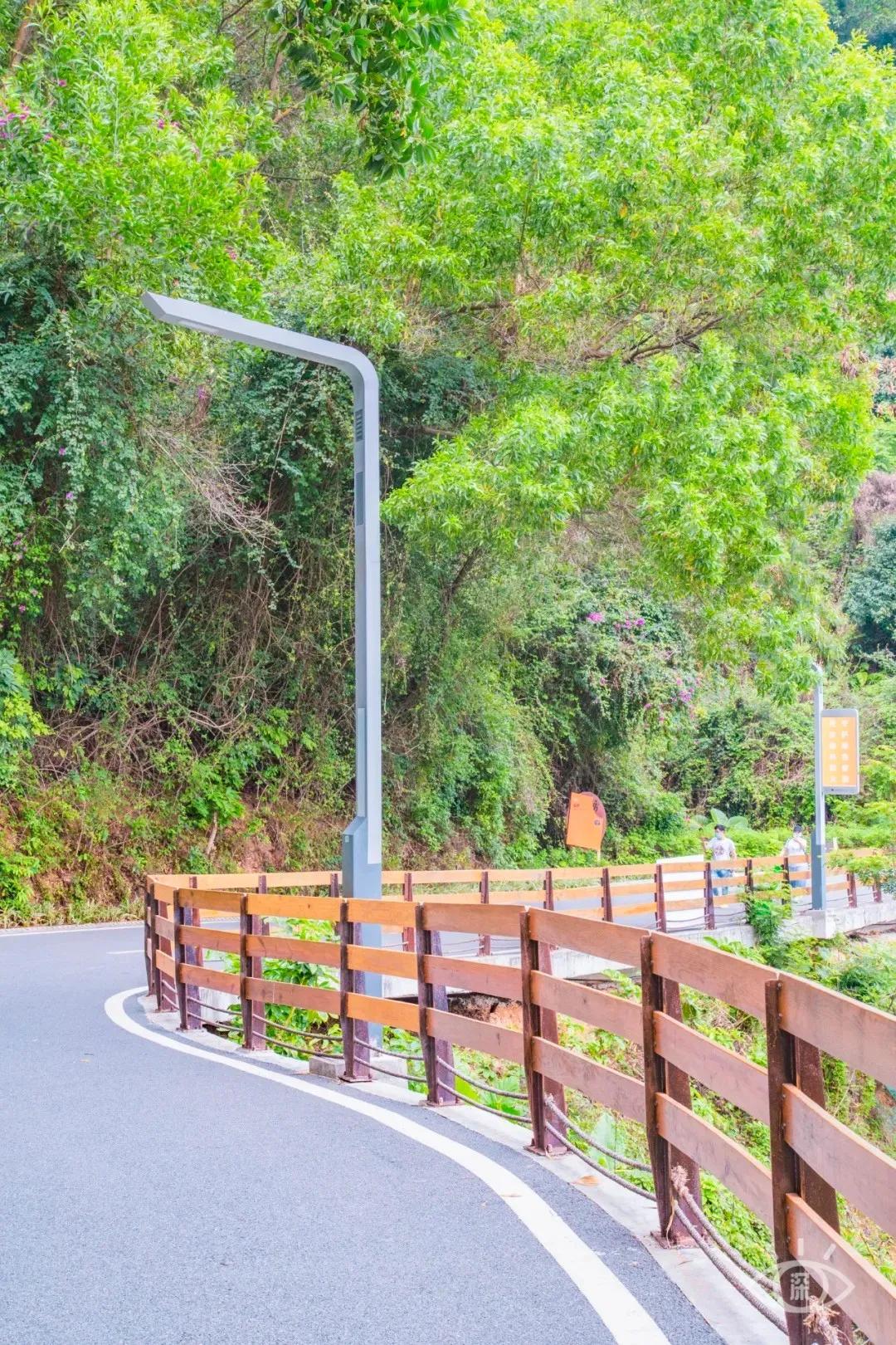 深圳这10条绿道你去过没,深圳十大绿道排行榜