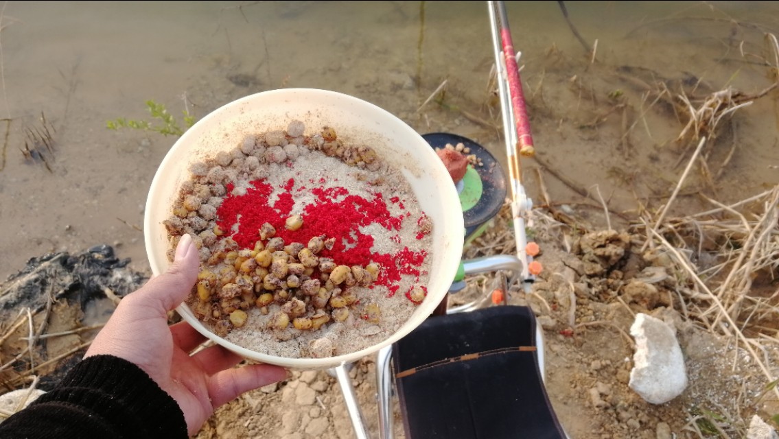 钓鲤技巧,钓鲤的正确方法