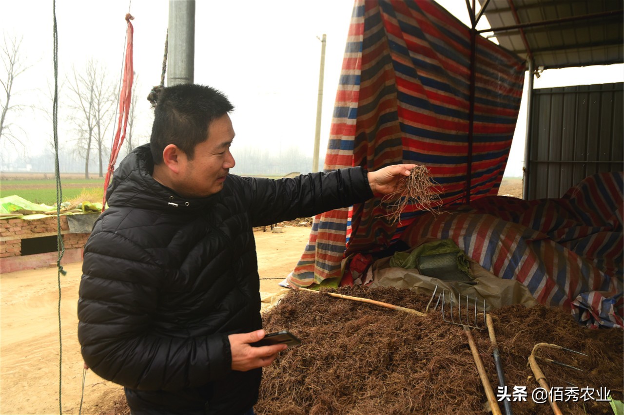 农村人过年回家,农村人最关注的是什么