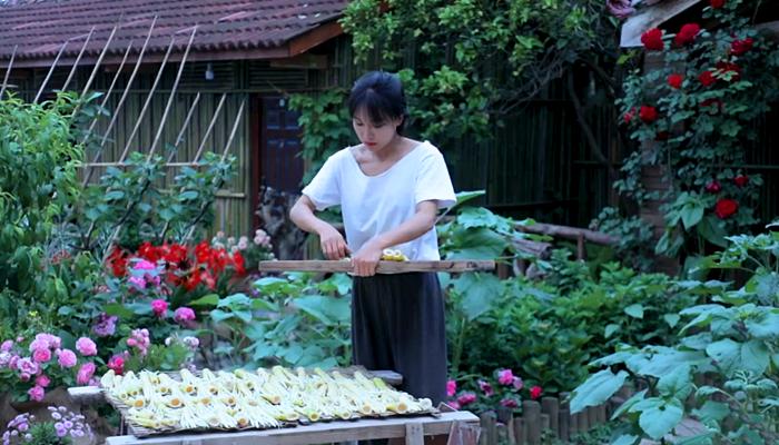 李子柒上山挖野菜视频,李子柒制作全过程视频美食