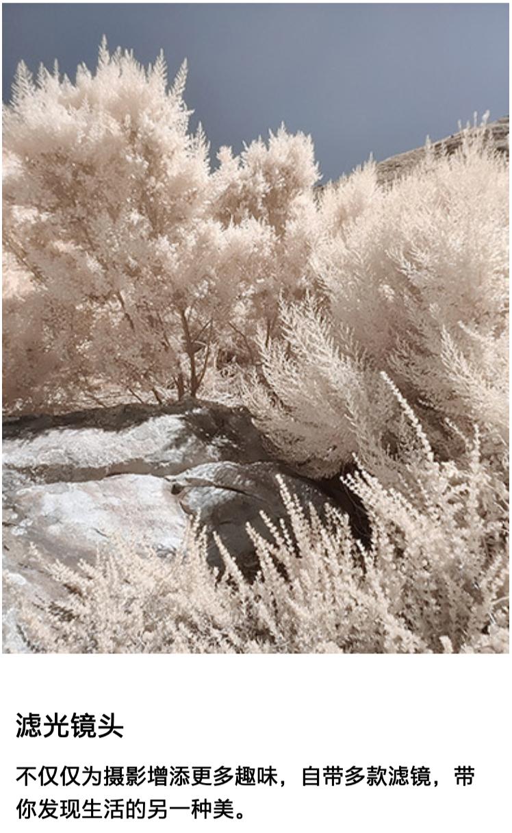 手机滤镜有透视功能？网友急了！一加员工：它没那么吓人