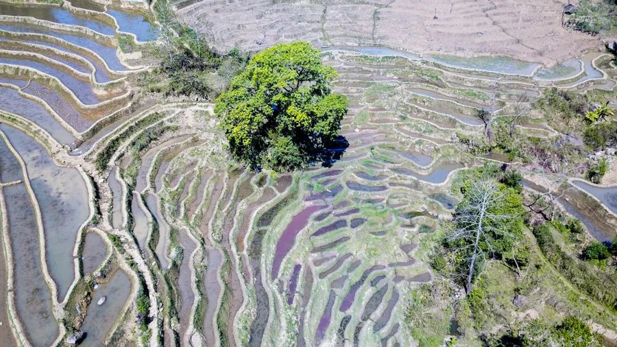 旅行是为了感受不一样的人生百态,旅行最好的状态就是不问归期