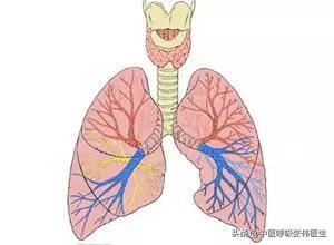 间质性肺炎吃什么中成药最见效,间质性肺炎晚期靠吸氧能活多久
