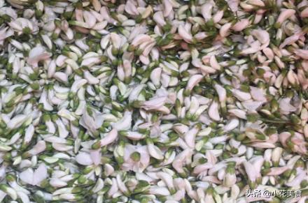 春天的味道蒸槐花,春天的味道槐树花