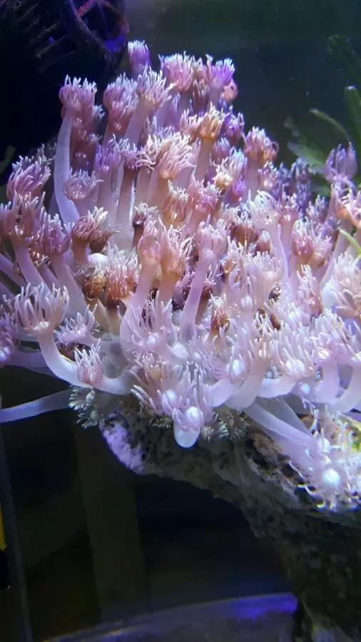 大学生1000元在宿舍开缸，还贴“禁止手碰”的标识，担忧舍友关系