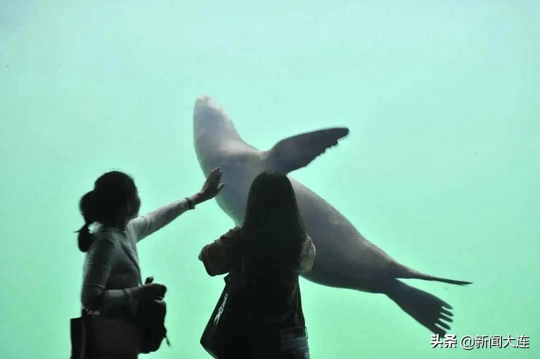 解锁大连夜，我们继续嗨