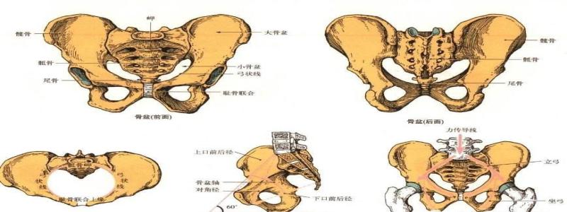 骶骨向后突正骨手法,骶髂骨倾斜正骨手法视频
