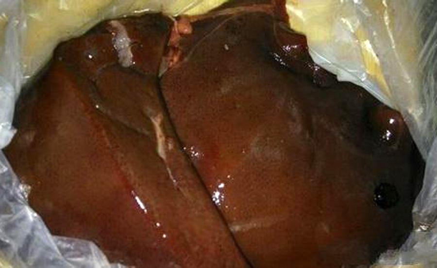 渔人钓鱼技巧视频,祖传千年钓甲鱼秘方