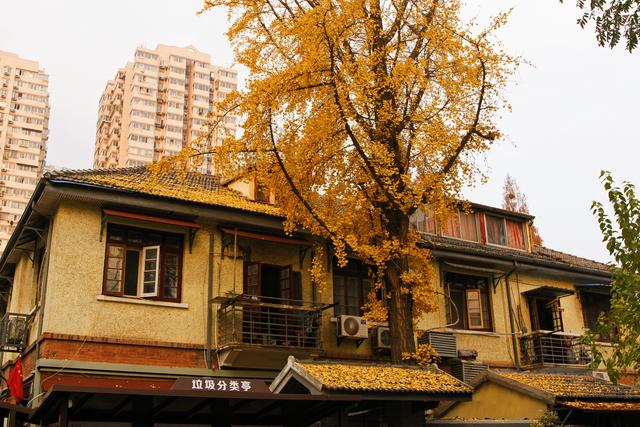 慧园里：南京版上海石库门，背靠夫子庙，却差点被拆除