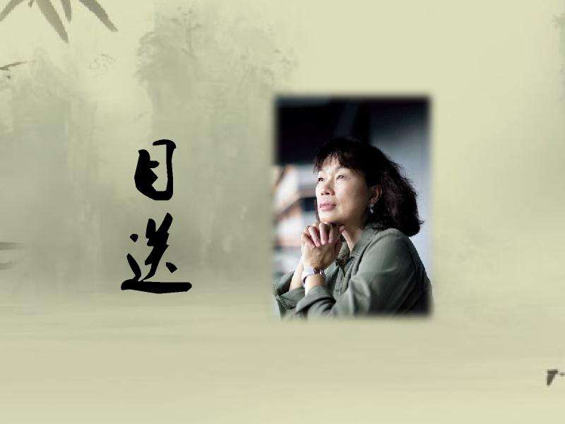 龙应台目送儿子,龙应台的目送优秀的孩子