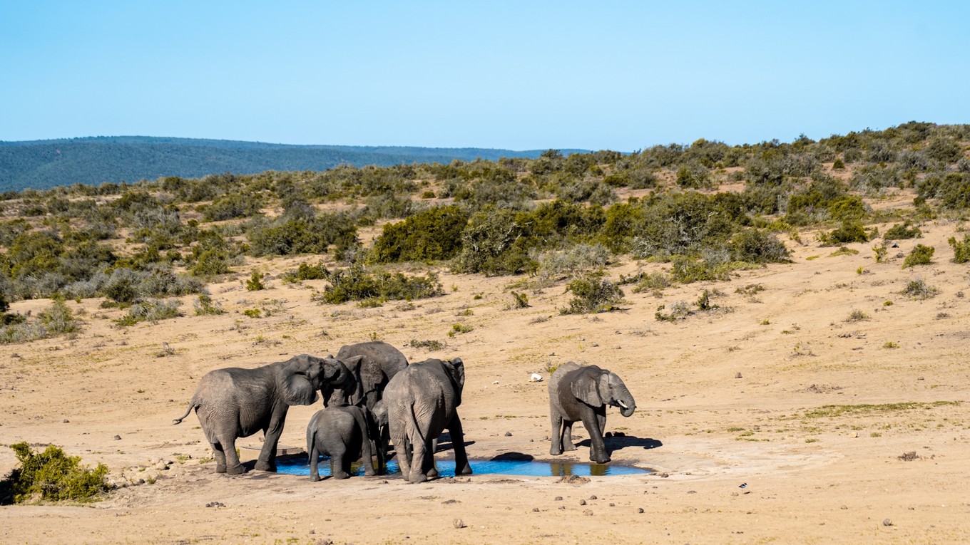 南非自驾游,南非自驾游最新