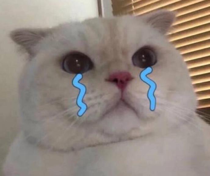 房地产公司应届生薪资,房地产应届毕业生薪资