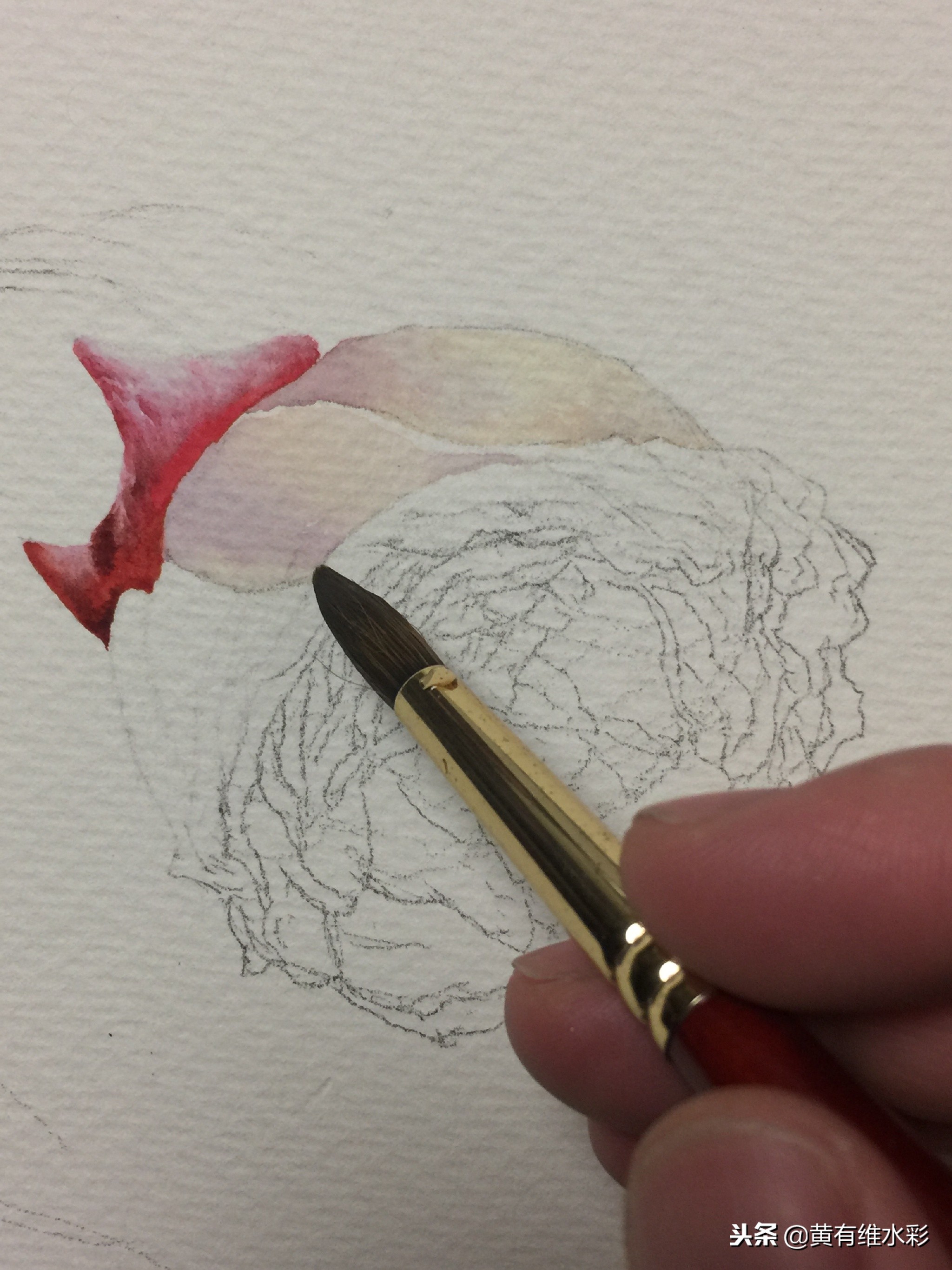 水彩教程简单好看手绘图片,水彩教程画花