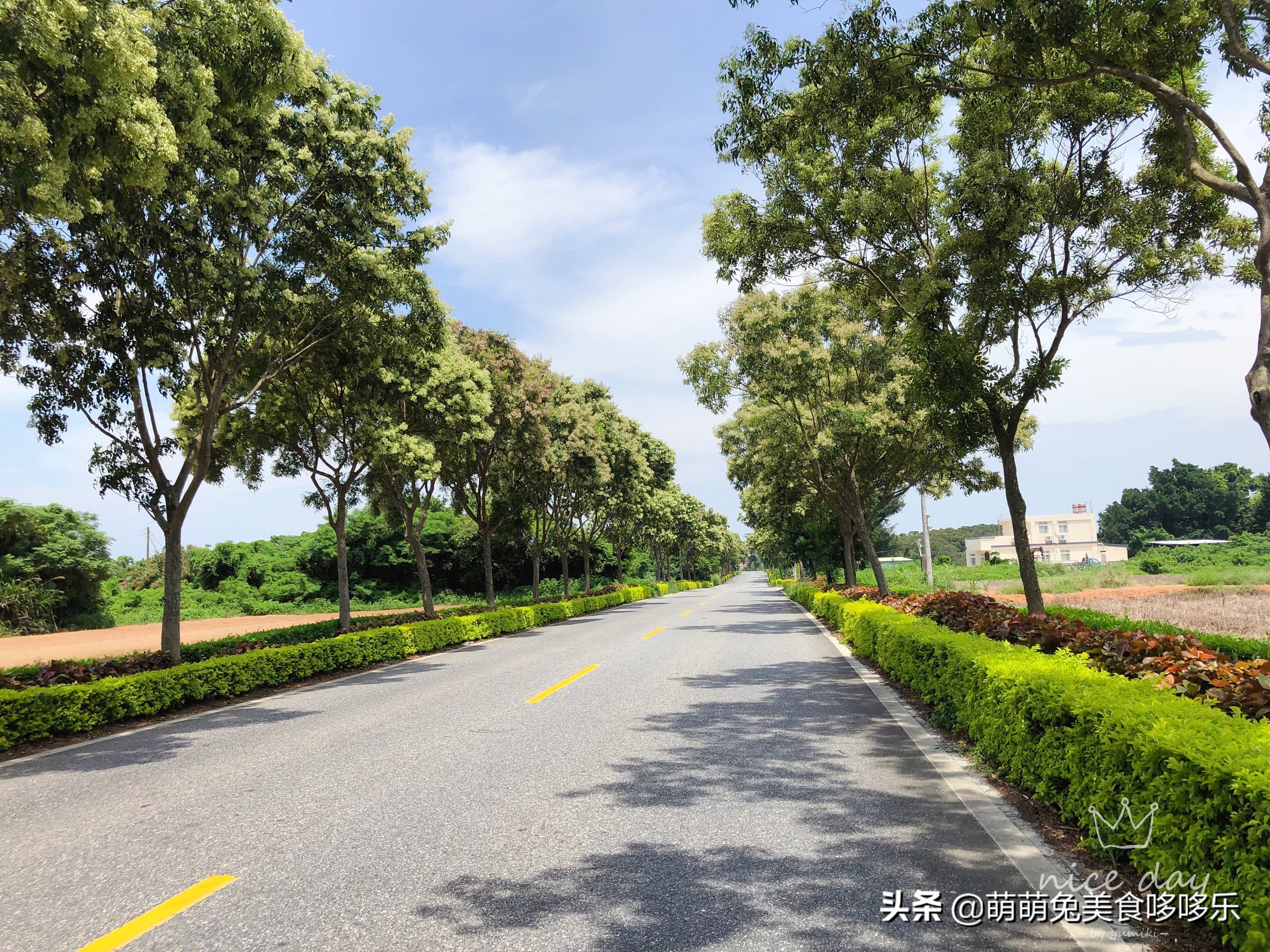 七月你好直播完整版,七月你好表演