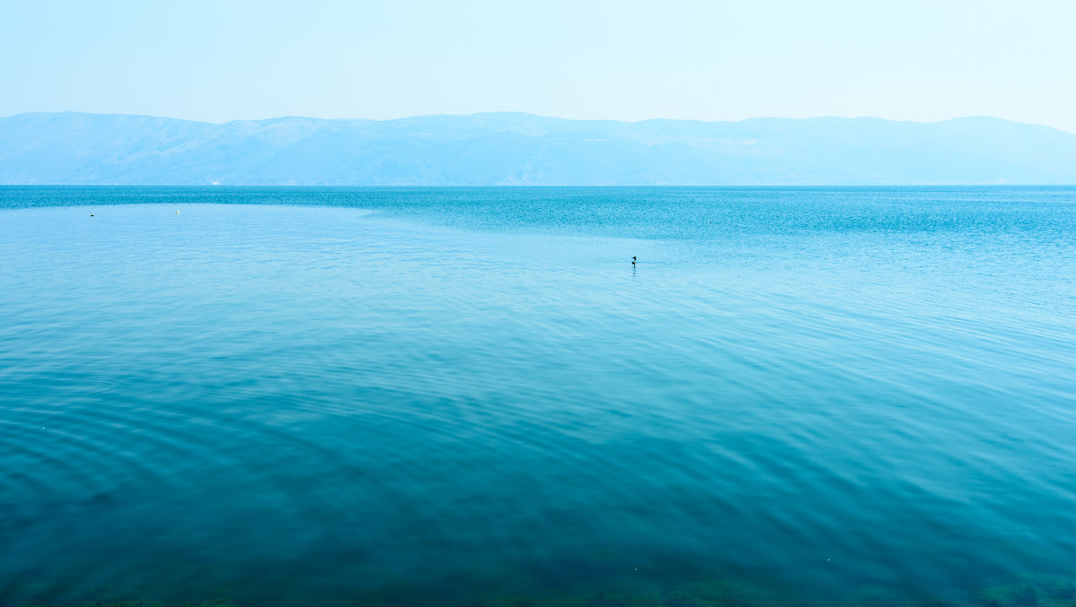 我的父亲英文视频,我的父亲英文介绍