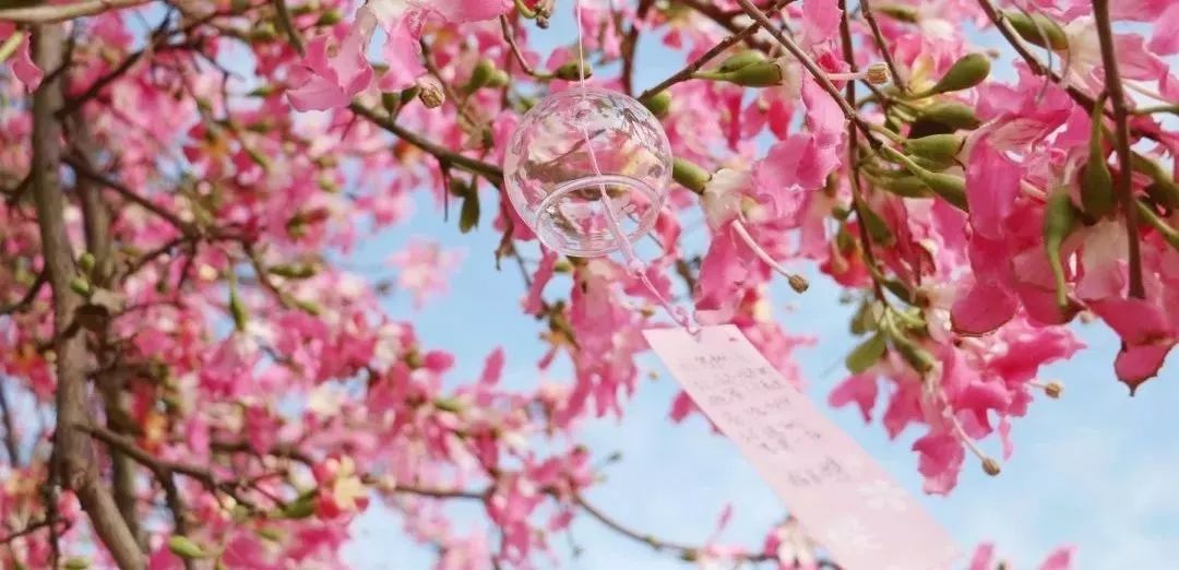 精彩继续！12月广东畅游指南，为你的2018划上圆满句点