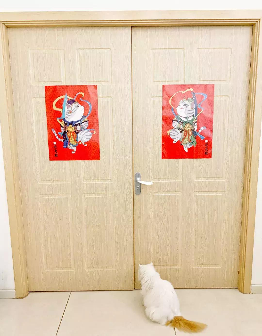 我们猫,我家猫只对我叫