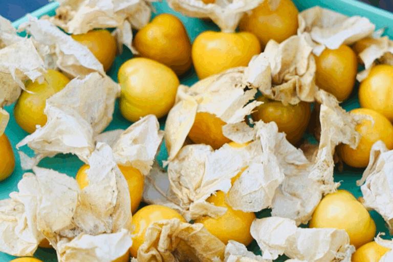 在拼多多买水果哪个靠谱,拼多多买水果的要注意什么