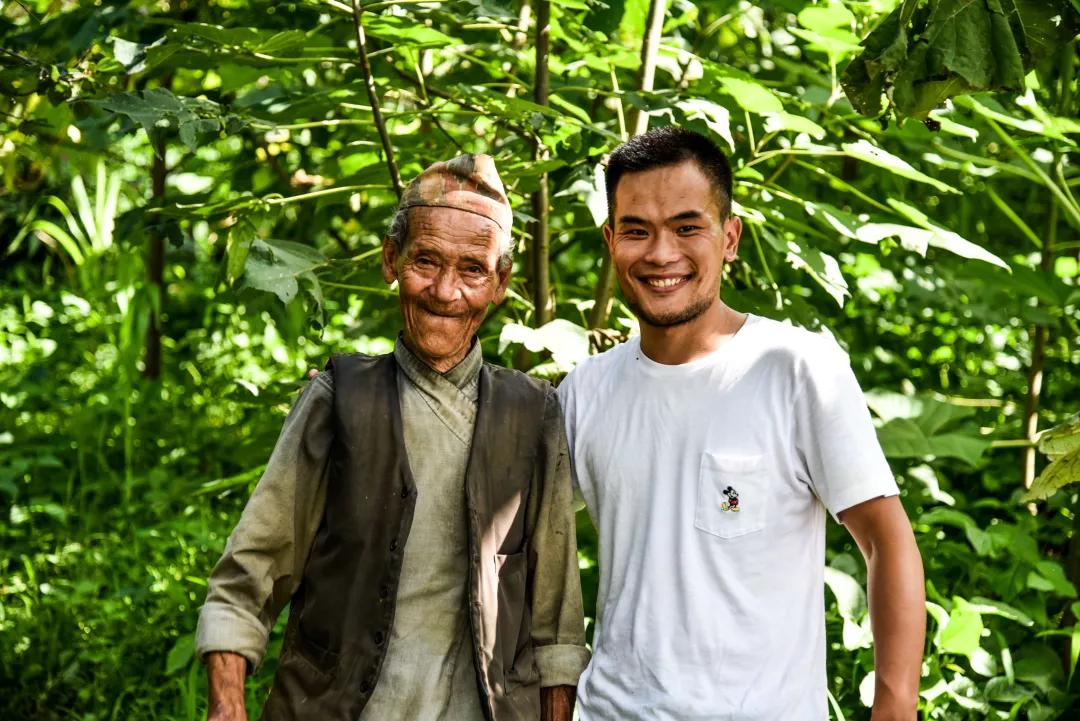 巧克力色的凤眼能盘成牛津红吗,为什么有的凤眼盘不红