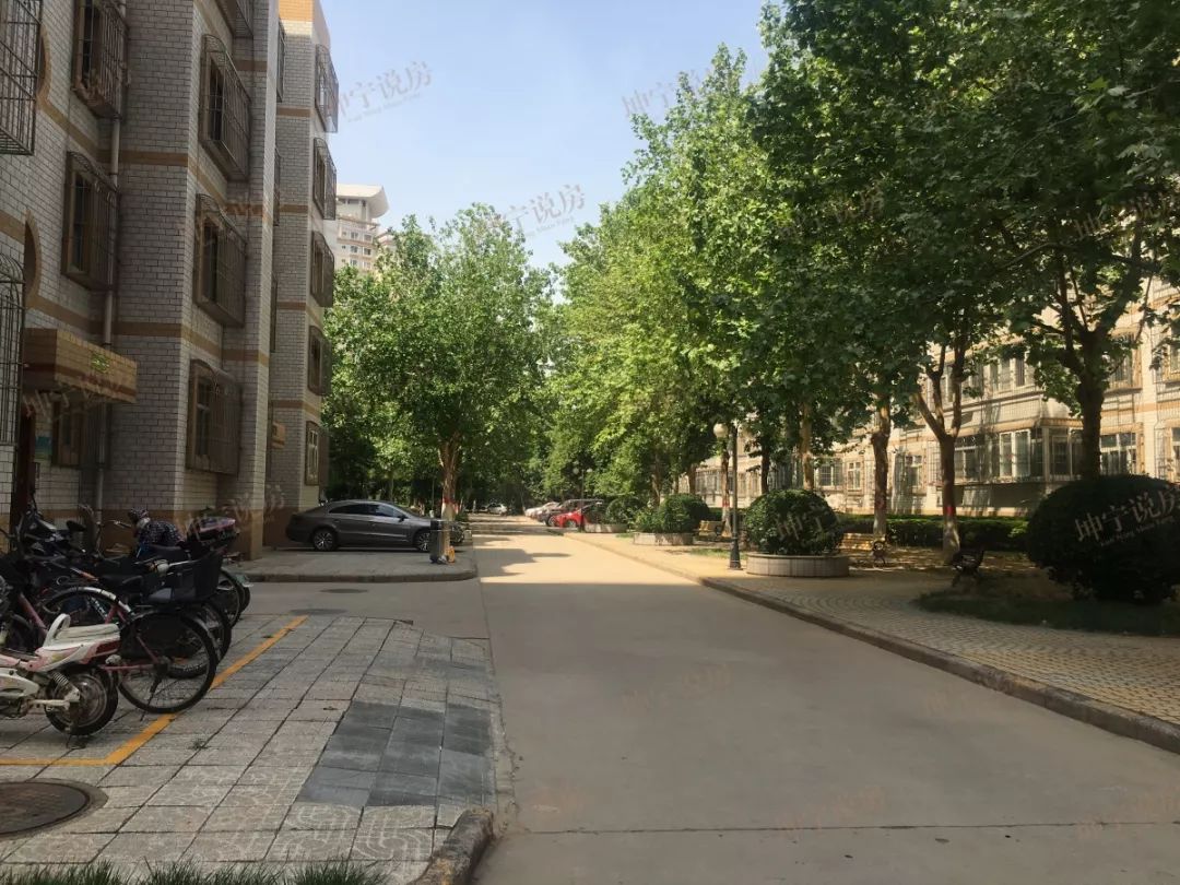 实探学区房,实探一线学区房