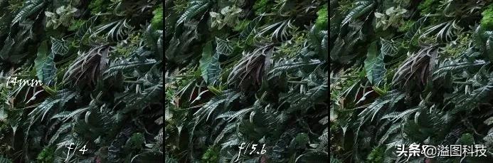 佳能rf351.4镜头评测,佳能rf14-35mmf4拍摄效果