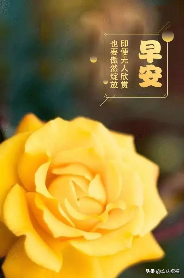 早上好励志语录早安正能量,早安心语每日一句经典早上好