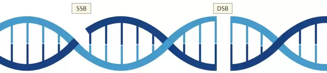 科学家找到了癌细胞的软肋，给了它致命的最后一击！