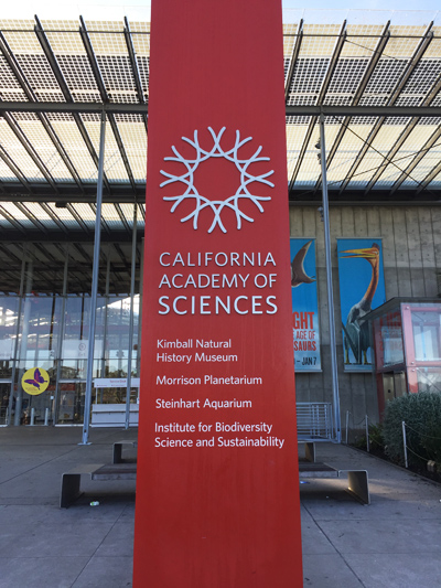 美国旧金山市规划,美国旧金山公园