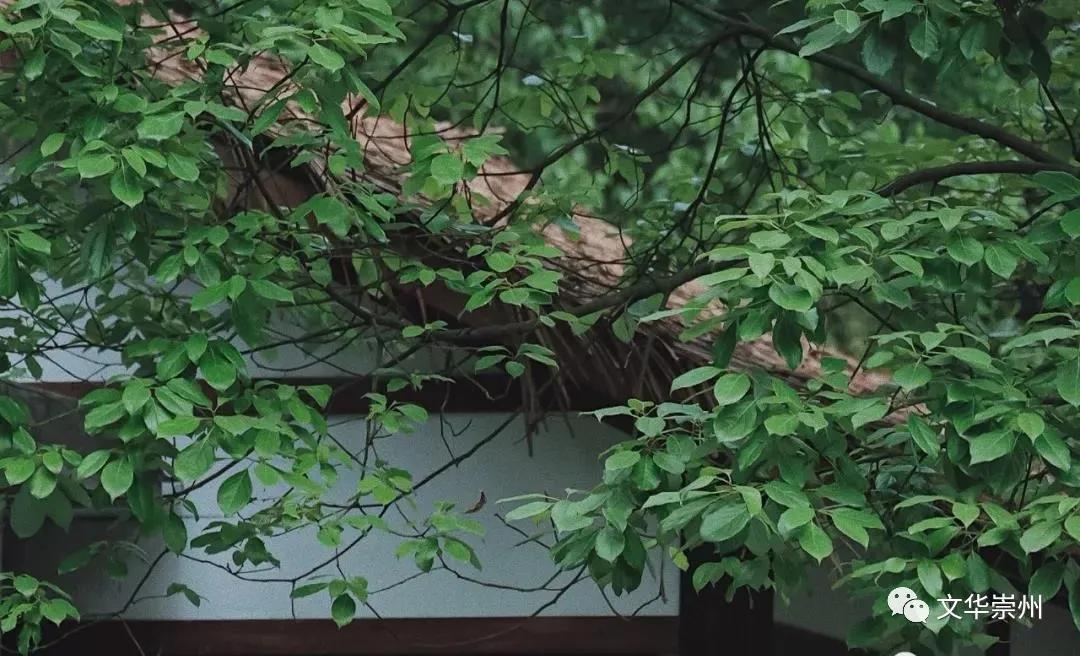 依山傍水,到“历空山·道明”感受世外桃源