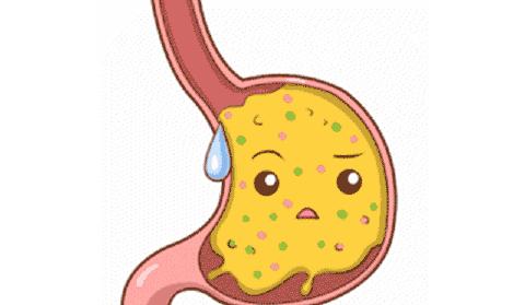 生食与熟食的利与弊有哪些,熟食比生食哪个更安全