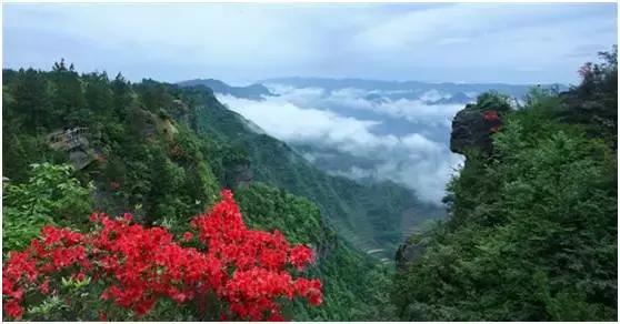 2022骞存仼鏂藉晢涓氶瓍鍔涙帓琛屾,榄呭姏鎵撳崱涔嬪煄鎭╂柦