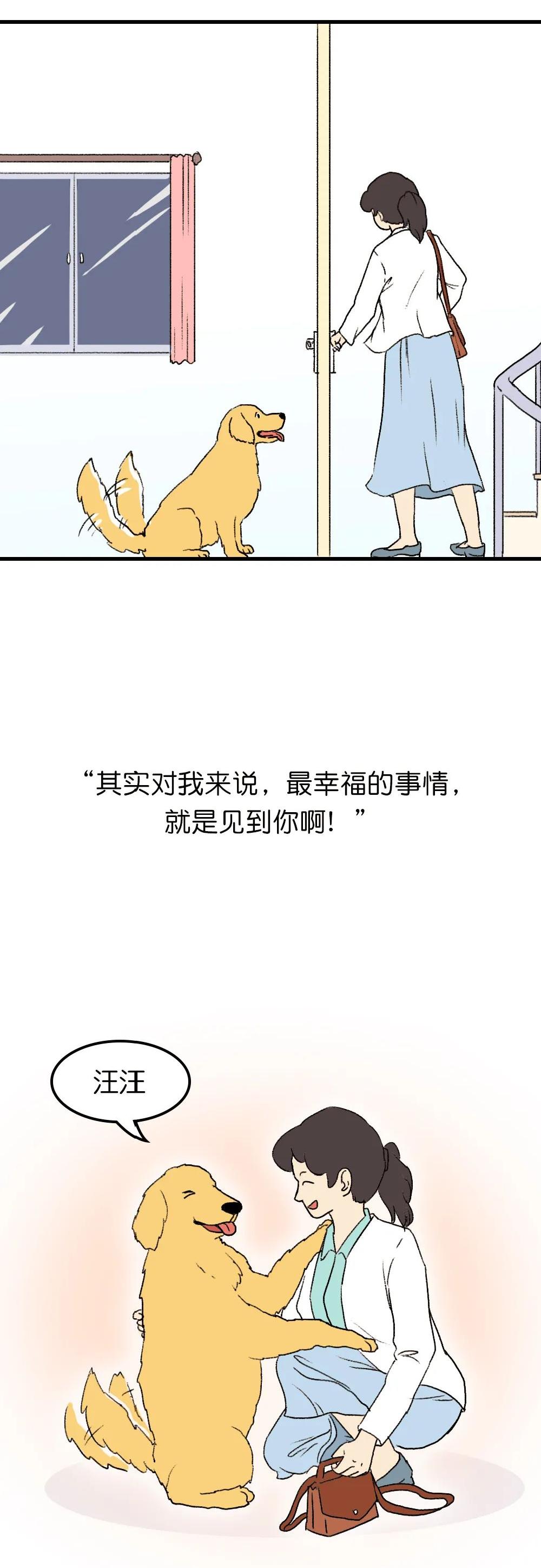 狗子在家来回踱步是什么原因,狗子为什么会很喜欢躲床底下睡觉