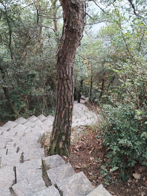 杭州市周末自驾游去哪里好玩,杭州出发周末旅游攻略