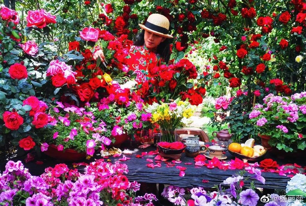 有一种向往叫西双版纳,有一种向往叫诗和远方完整版